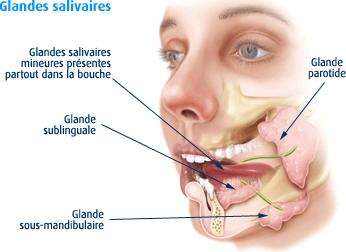 TUMEURS DES GLANDES SALIVAIRES